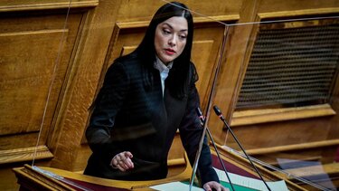 Ν. Γιαννακοπούλου: Για τον βιασμό ευθύνεται μόνο ένας-Αδιανόητο το victim blaming