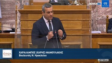 Μαμουλάκης: Με ημίμετρα δεν αντιμετωπίζεται η ακρίβεια