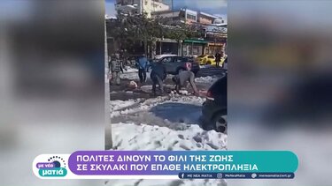 Πολίτες δίνουν το φιλί της ζωής σε σκυλάκι που έπαθε ηλεκτροπληξία