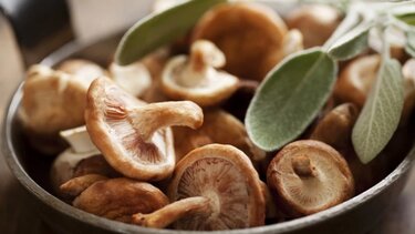 Μανιτάρια σιτάκε: Τα πραγματικά οφέλη τους για την υγεία