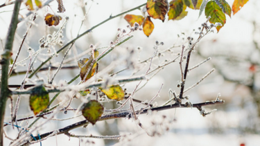 Κακοκαιρία «Ελπίς»: Πού έφτασε τους -10 βαθμούς Κελσίου η θερμοκρασία το πρωί της Κυριακής