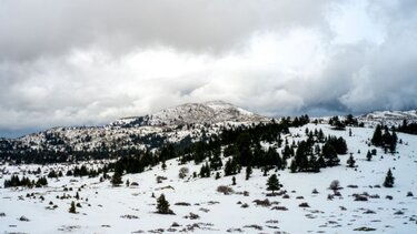 Λέκκας για "Διομήδη": «Όλο το επιχειρησιακό σύστημα δοκιμάζεται»