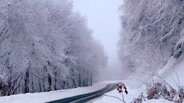 Ο χιονισμένος δρόμος σε ένα παραμυθένιο σκηνικό που έγινε viral
