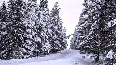 Συγκέντρωση ορειβατών, χιονοδρόμων και πεζοπόρων στο Σύνταγμα
