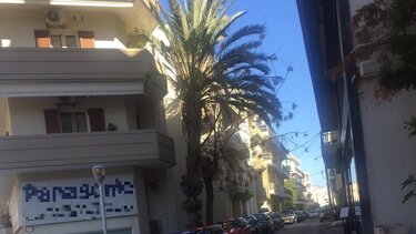 Ένας επικίνδυνος φοίνικας «περιμένει» φροντίδα