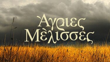 Άγριες Μέλισσες: Μία απρόσμενη πρόταση και μία ανακάλυψη φέρνουν ανατροπές