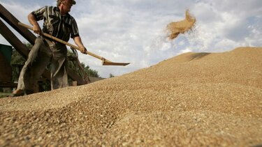Κίνδυνος εκτόξευσης των τιμών στα σιτηρά