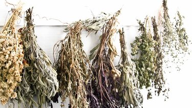 Τα βότανα που συμβάλλουν στην αντιμετώπιση του φουσκώματος