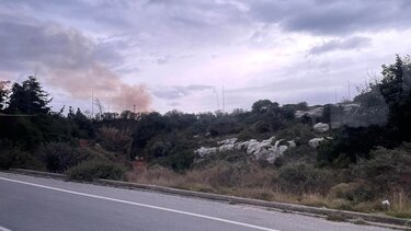 Η φωτιά κινητοποίησε την Πυροσβεστική