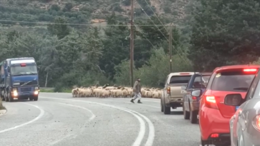 Όταν οδηγείς στον ΒΟΑΚ ποτέ δεν ξέρεις τι μπορεί να σου τύχει!