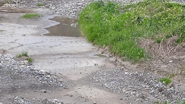 Ήλθον, είδον και απήλθον