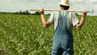 Οι προϋποθέσεις για ρύθμιση της ασφαλιστικής κάλυψης αγροτών με οφειλές στον ΕΦΚΑ