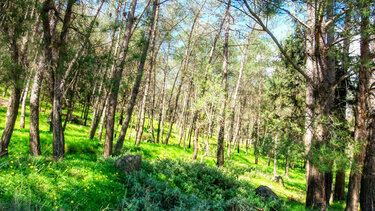 Βουλή: Αύριο στην ολομέλεια το περιβαλλοντικό πολυνομοσχέδιο
