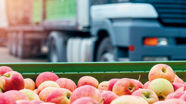 Πλήγμα σε εξαγωγείς φρούτων από τον πόλεμο στην Ουκρανία