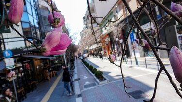 Κορωνοϊός: 16.558 νέα κρούσματα και 56 θάνατοι – Στους 341 οι διασωληνωμένοι