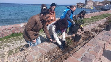 Φύτεψαν λουλούδια ενάντια στις γυναικοκτονίες