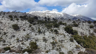 Πεζοπορία στο Οροπέδιο Καθαρού, την Κυριακή