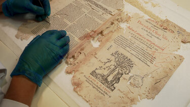  «Πάπυροι και Περγαμηνές»: Μια ξεχωριστή ξενάγηση στο εργαστήριο συντήρησης παλαιτύπων της Βικελαία