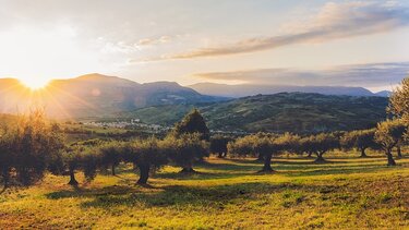 	Σε ΦΕΚ οι αποφάσεις για κρατικές ενισχύσεις σε 6+1 αγροτικά προϊόντα 