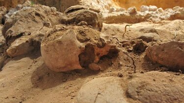 Βρέθηκαν οστά σε παραλία της Βεργιάς