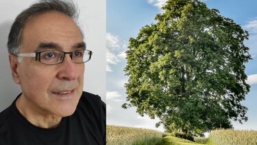 Απούσα η Ελλάδα από Διαγωνισμό για το Δέντρο της Χρονιάς