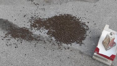 Έπεσε ολόκληρο μελίσσι σε κεντρικό δρόμο!