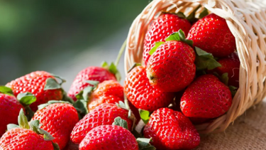 Πώς να διατηρήσεις φρέσκες τις φράουλες για περισσότερο καιρό
