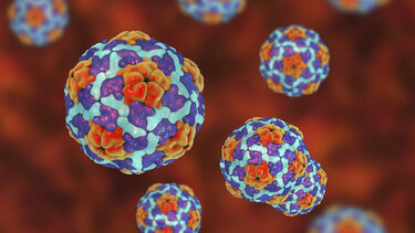 Μαγιορκίνης για ηπατίτιδα: Όλοι μας έχουμε περάσει τον αδενοϊό 2-3 φορές στη ζωή μας 