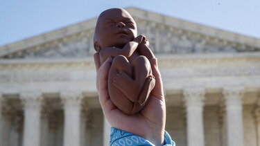 Η αστυνομία βρήκε πέντε έμβρυα στο σπίτι ακτιβίστριας