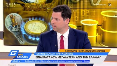 Θ. Κοντογεώργης: Δεν έχουμε κίνδυνο επάρκειας φυσικού αερίου, με βάση τα σημερινά δεδομένα