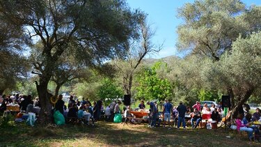 Πρωτομαγιά στον κάμπο της Δαμάστας