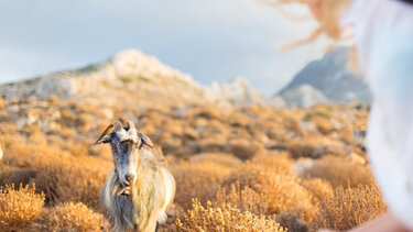 Αυξημένη συγκέντρωση αφρικανικής σκόνης την Τετάρτη στην Κρήτη