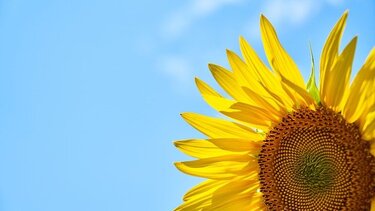 Βελτιωμένος ο καιρός την Παρασκευή, καθαρίζει και η ατμόσφαιρα στην Κρήτη