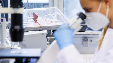 Ευλογιά των πιθήκων: Τα αναπάντητα ερωτήματα και η ανάγκη για επαγρύπνηση