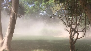 Εικόνα ... αμμοθύελλας στο Πάρκο Γεωργιάδη!