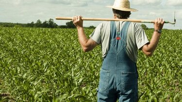 Ζητούν ... απεγνωσμένα εργάτες γης, στο Λασίθι!