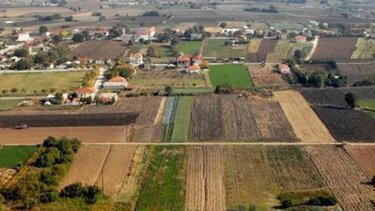 Να γίνει τώρα ένας γενναίος αναδασμός στην Κρήτη!