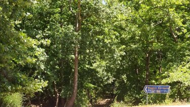 Εθελοντές συγκέντρωσαν περισσότερα από 150 κιλά απορριμάτων από το Φαράγγι Δικτάμου!