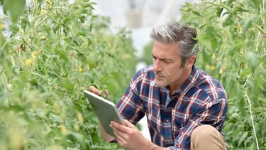 Προσλήψεις γεωπόνων στον ΕΛΓΑ - Η εικόνα στο Ηράκλειο 