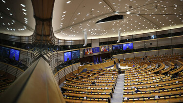 Καρυστιανού, Ράμμος, Φαραντούρης στο Ευρωκοινοβούλιο την Τρίτη