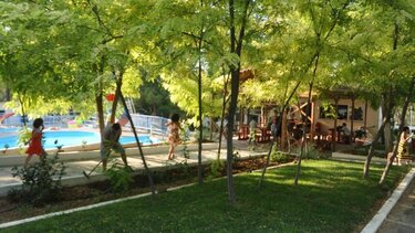 Κατασκηνωτικό Πρόγραμμα 2022: Μέχρι και την Κυριακή οι αιτήσεις