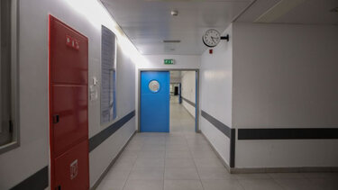 Της επιτέθηκαν ροτβάιλερ, κατέληξε στο Νοσοκομείο!