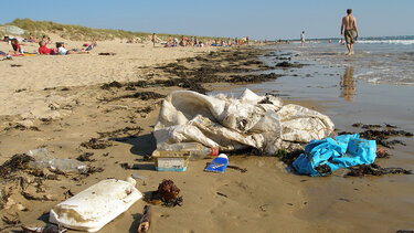 Μαλεβίζι: Στον αγώνα κατά των θαλάσσιων απορριμμάτων, επιχειρήσεις εστίασης και τουρισμού 