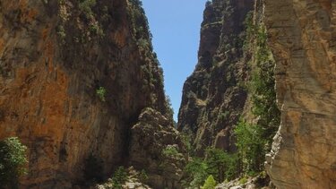 Ανοικτός το Σάββατο ο Εθνικός Δρυμός Σαμαριάς