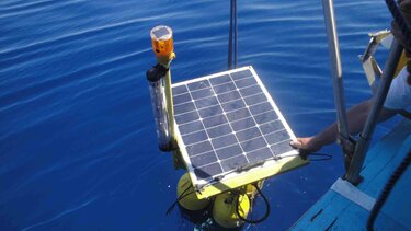 SAvE Whales: Σανίδα σωτηρίας για τους φυσητήρες της Ανατολικής Μεσογείου