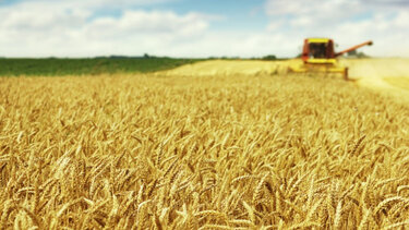 G7: Συζητούν πώς θα τεθεί τέλος στον αποκλεισμό των ουκρανικών σιτηρών