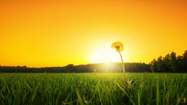 Ηλιοφάνεια το Σάββατο στην Κρήτη