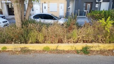 Με αυτό το πάρκο θα ασχοληθεί κανείς; 