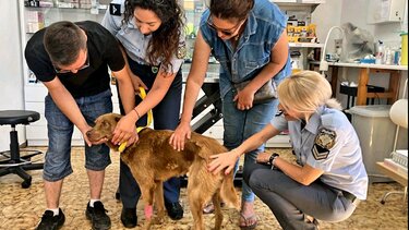 Πήρε και έδωσε αγάπη - Οι ευχές των αστυνομικών στο Bruno! 