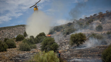Σε εξέλιξη φωτιά στην Αρκαδία